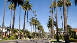 Encuentra vuelos baratos desde Rep&uacute;blica Dominicana $[,, preposition:'to ']$[,, article:'to ']$[,, place:'to']