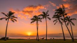 Encuentra vuelos baratos de República Dominicana a Honolulu