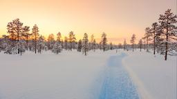 Alquileres vacacionales - Laponia