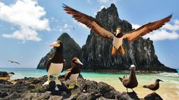 Hoteles en Fernando de Noronha