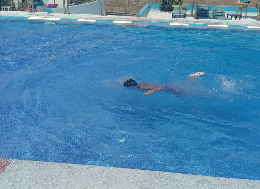 Otros Foto