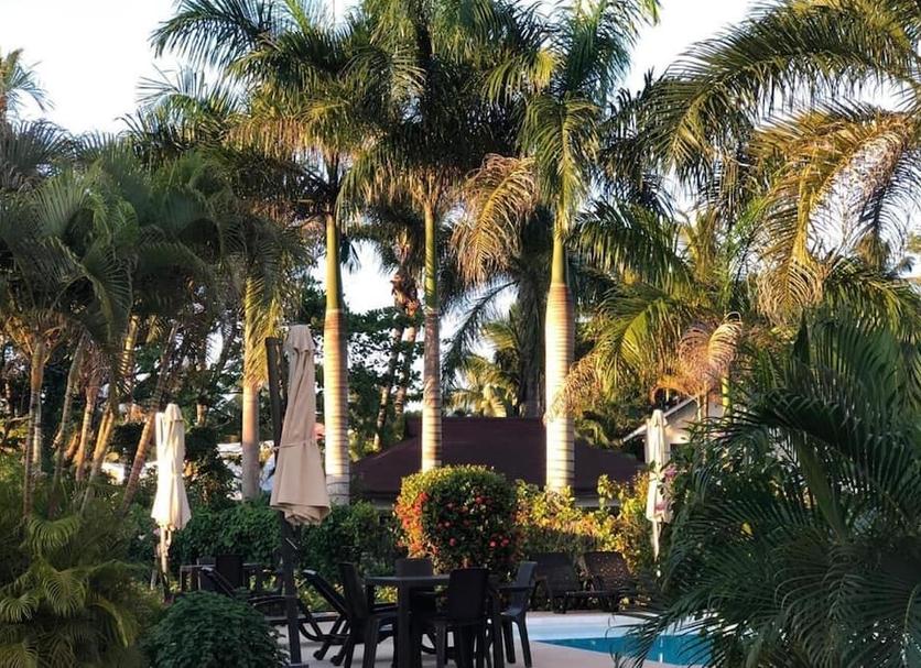 Vista del exterior Foto