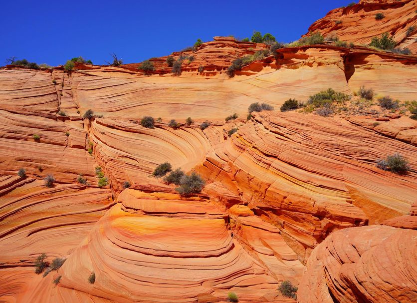 Servicio del hotel Foto