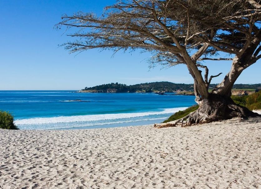 Playa Foto