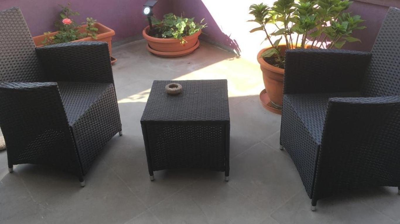 B&B Luce Viola